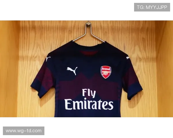 2018-2019赛季英超球衣设计及市场反馈